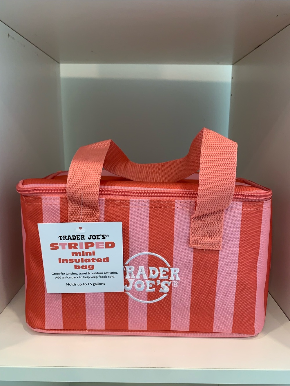 NWT-TRENDY- Trader Joe's Mini Insulated Bag - Summer 2026. Sold out in the store